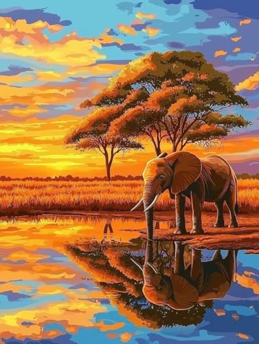 vyCgoCio[Lbg  GLbg lphGLoXNtg A[guVƃANG̋ DIYGoCH| |ph S qp ƒ̕Ǒ t[Ȃ60x80cm -2338