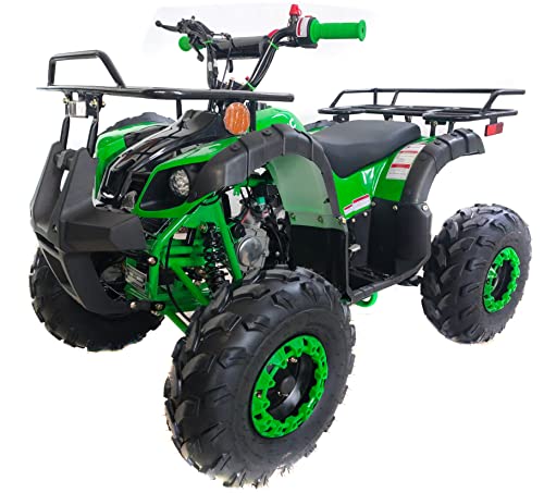 TaoTao 125cc Utility ATV
