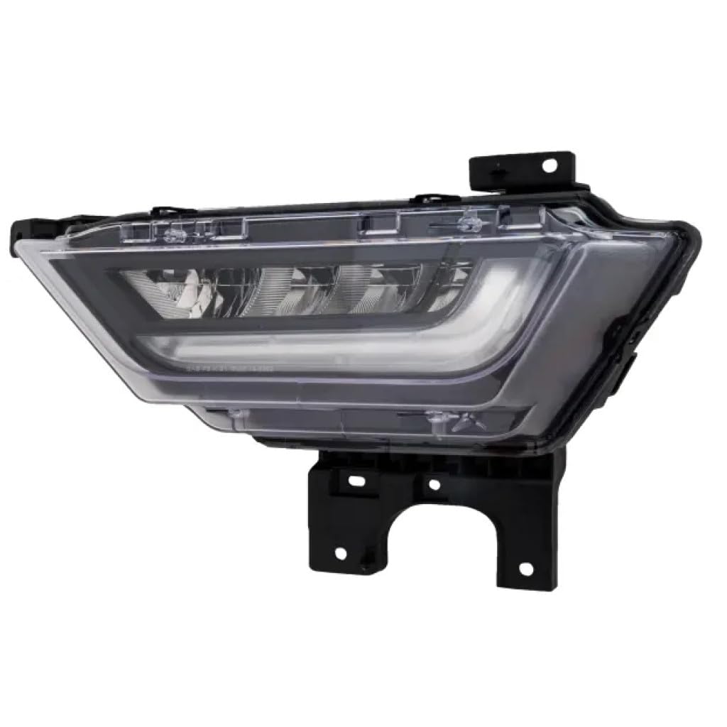 Amazon.com: For Ford F-150 2021 2022 2023 Fog Light Assembly