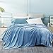 Bedsure Manta Cama 150 Invierno - Manta Sofa Extra Grande de Franela Suave, Mantas 220x240 cm para Cama 135, Azul