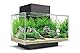 Fluval Edge 2.0 Nano Aquarium, 23L, schwarz, 1 Stück (1er Pack)