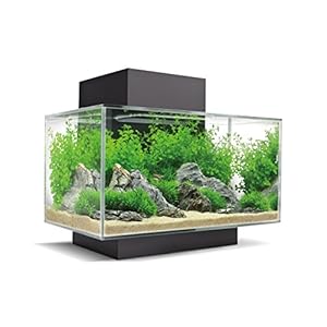 Fluval 15034 Edge 2.0 23l Aquarium Set, zwart