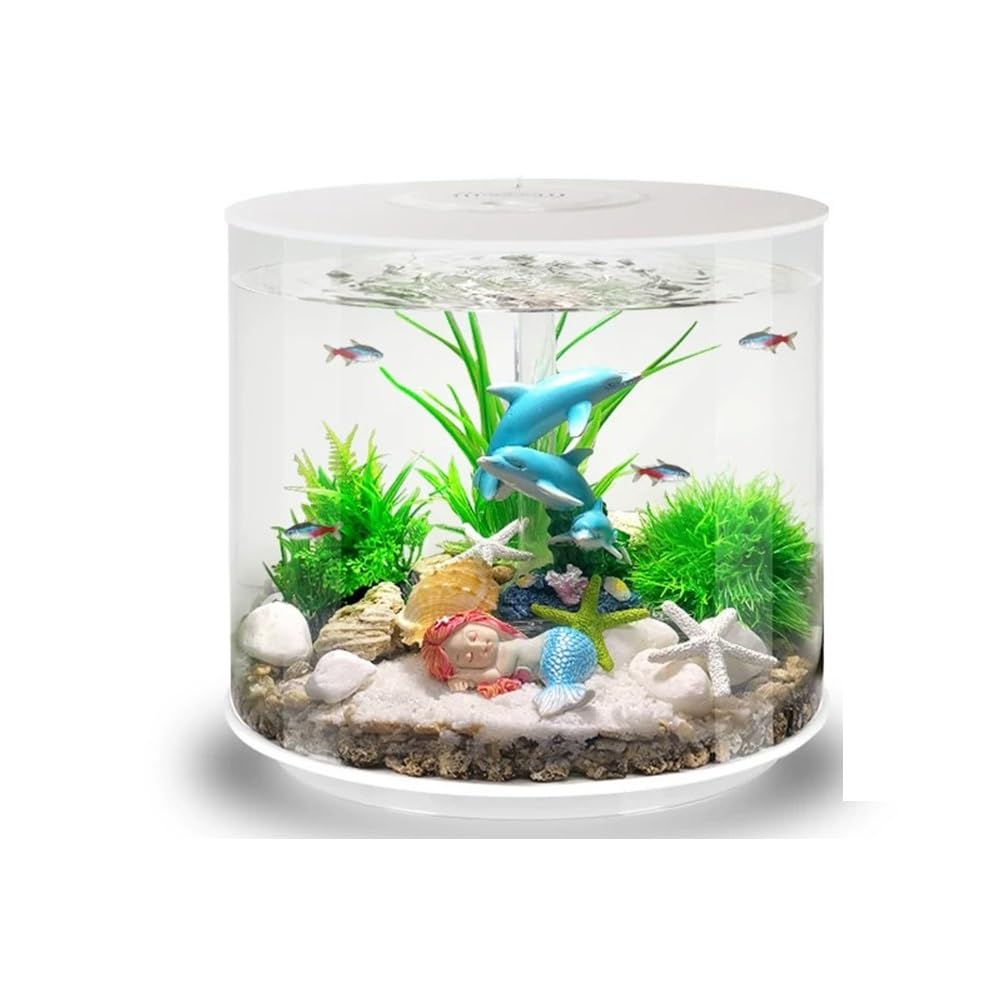 Kit de Inicio acrílico for acuarios pequeños