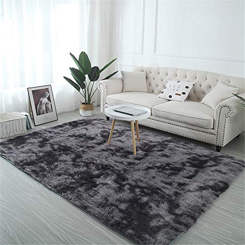 TROYSINC - Alfombra de Pelo Largo, Lavable, Moderna, mullida, para sal