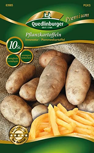 Pflanzkartoffeln Quedlinburger 'Innovator' mittelfrüh, vorwiegend festkochend (10 Stück)