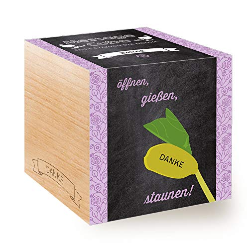 Feel Green Message Cube, Holzwürfel Mit Lasergravierter Glücksbohne'Danke', Nachhaltige Geschenkidee, 100% Eco Friendly, Anzuchtset, Made in Austria