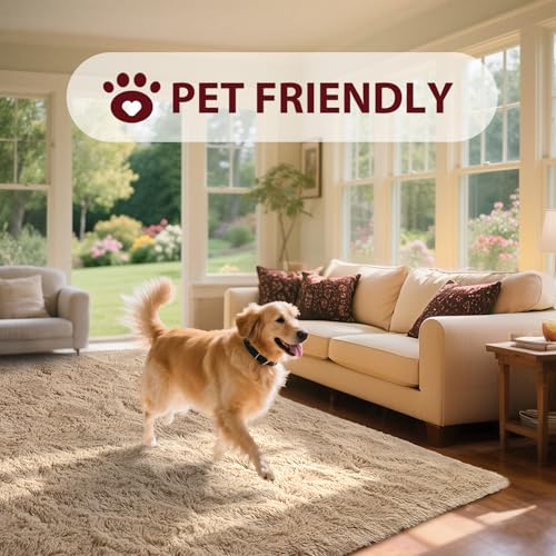 5x8 Living Room Rugs Fluffy Neutral Beige Area Rug,Modern Plush Non-Slip Soft Bedroom Shag Carpet for Book Room Office,Coffee Stain Resistant