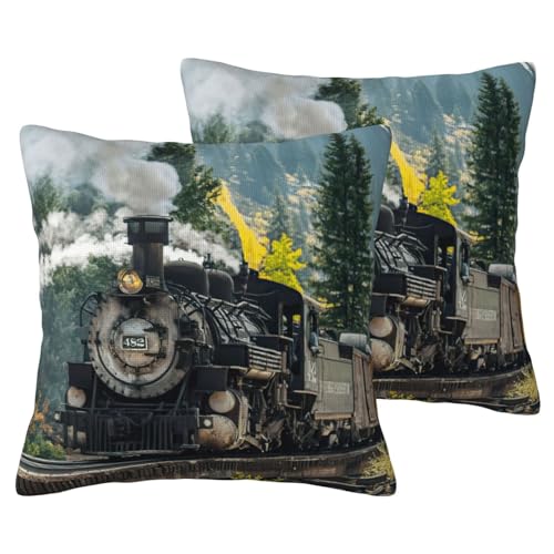 Housse de coussin train à vapeur EdWal lot de 2 pour canapé