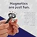 CMS Magnetics - Magnetic Pole Detector, a Handy Polarity Identifier to Determine Magnet's North or South Poles, Great for School Teachers, Science Projects, and Metal Detector