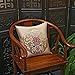 GeWu888 Coussin Anti-Vent de Style Chinois, Oreiller Lombaire d  'Oreiller en Acajou rétro Argent 35x50cm