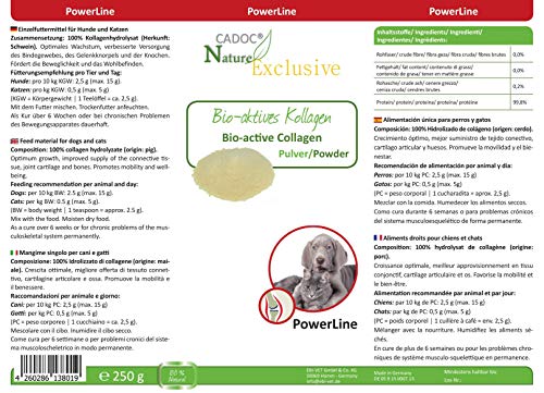 Cadoc - Nature Exclusive Bio-Aktives Kollagen