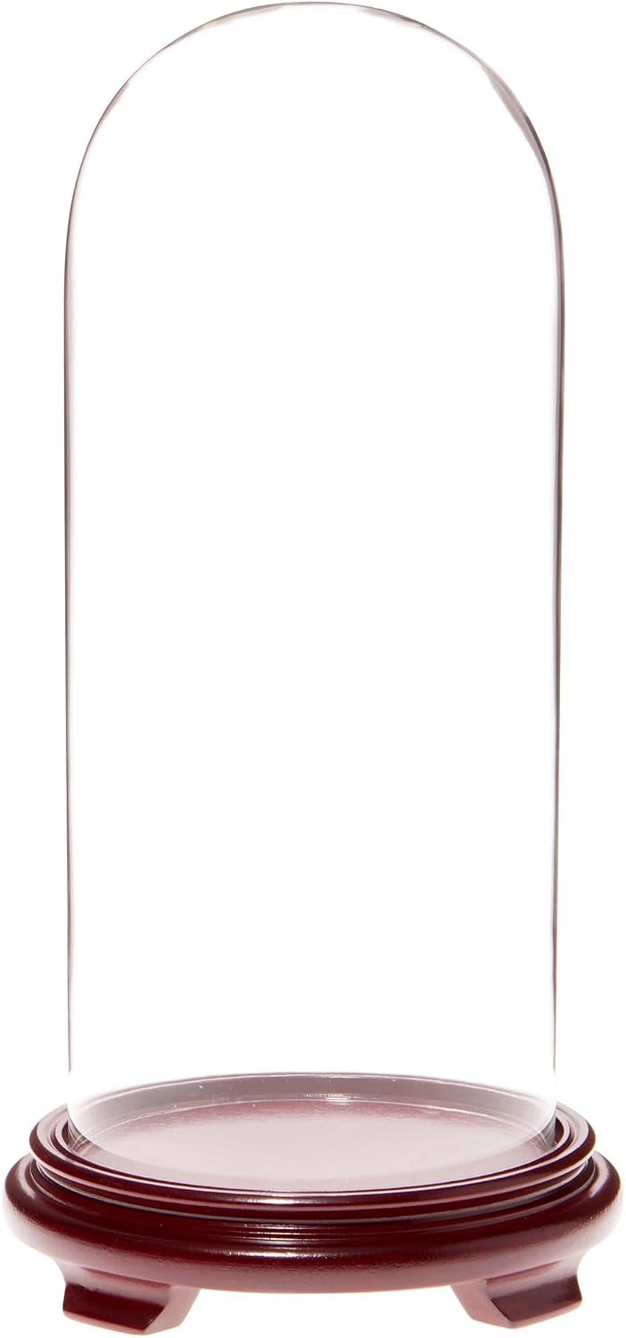 Plymor 5.5" x 13" Glass Display Dome Cloche (Red Wood Veneer Footed Base)