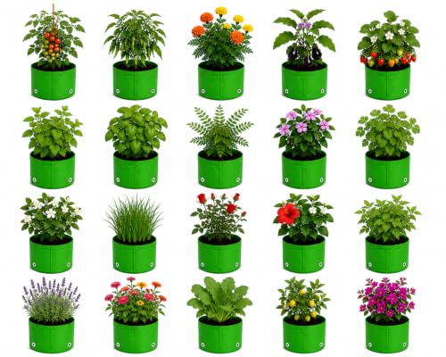 Image of Grow Bags for Terrace Gardening, Premium HDPE Green-Orange Large Planters for Fruit Trees, Vegetables, Flowers & Home Garden Pack of 20(6x6)