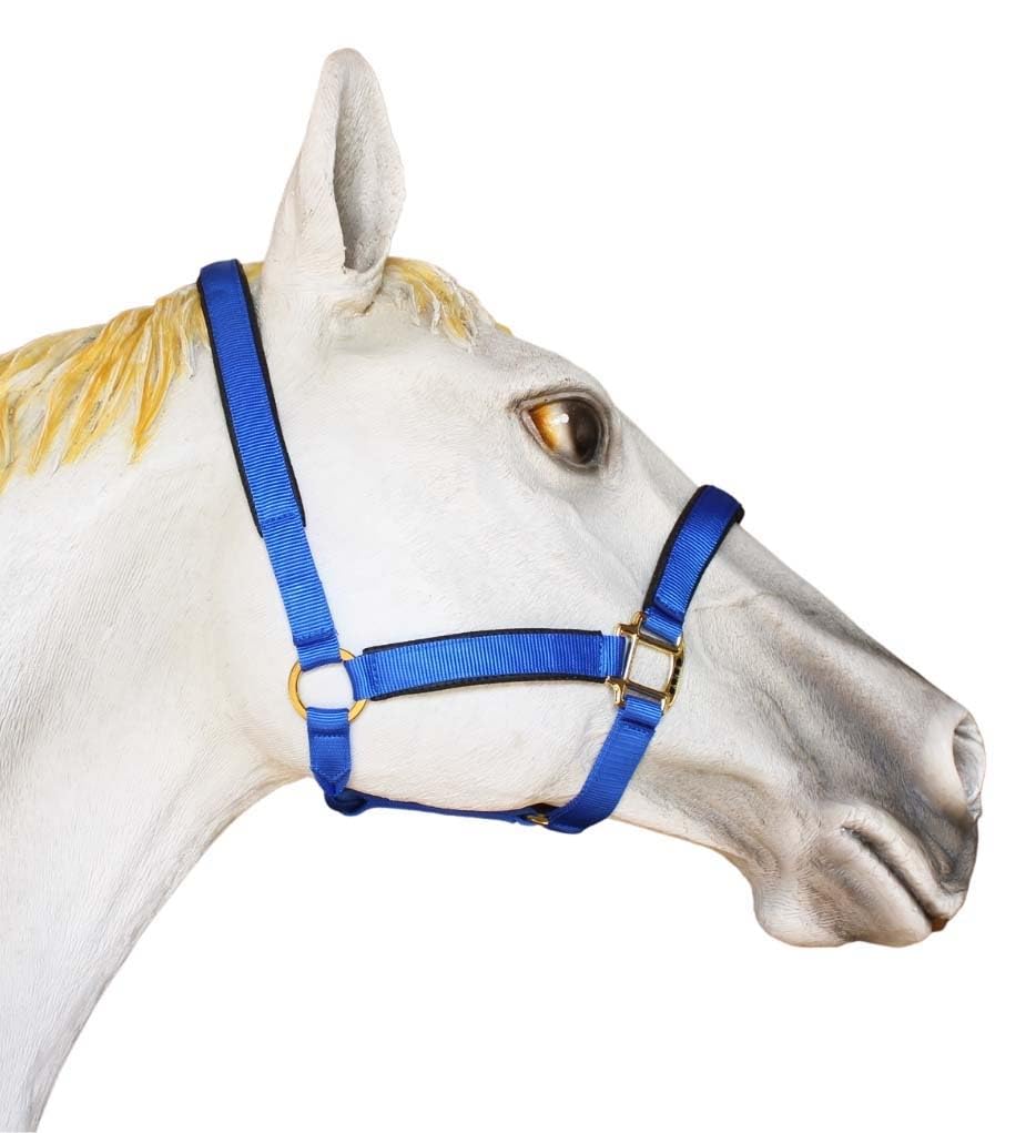 Pro Rider 1" Horse Western Nylon Web Padded Halter Brass Plated Hardware Lead Rope Tack 107HL03BL