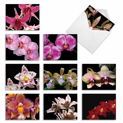 The Best Card Company - 10 Blank Note Cards with Flowers (4 x 5.12 Inch) - Floral Notecards, All Occasion Boxed Assortment - Orchid Nights M1734BN