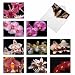 10 All-Occasion Note Cards with Envelopes (4” x 5 ¼”), ‘Orchid Nights’ Blank Greeting Cards, Assorted Stationery for Weddings, Baby Showers, Birthdays #M1734BN