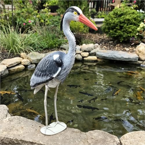 Gravidus Täuschend echte Fischreiher-Attrappe - Handbemalte Gartenfigur aus wetterfestem Kunststoff, Reiherschreck für Teich und Pool, 57...