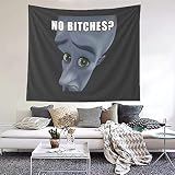 TEMI Megamind No Bitches Funny Meme Tapestry Wall Hanging Backdrop Party Decorations for Bedroom Liv