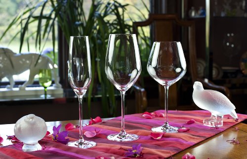 SCHOTT-ZWIESEL-Fortissimo-Bordeaux-Red-Wine-Glass-Set-of-6-Fine-Bordeaux-Glasses-for-Red-Wine-Dishwasher-Safe-Tritan-Crystal-Glasses-Made-in-Germany-22-Ounce SCHOTT ZWIESEL Fortissimo Bordeaux Red Wine Glass Set of 6 Fine Bordeaux Glasses for Red Wine Dishwasher Safe Tritan Crystal Glasses Made in Germany 22 Ounce
