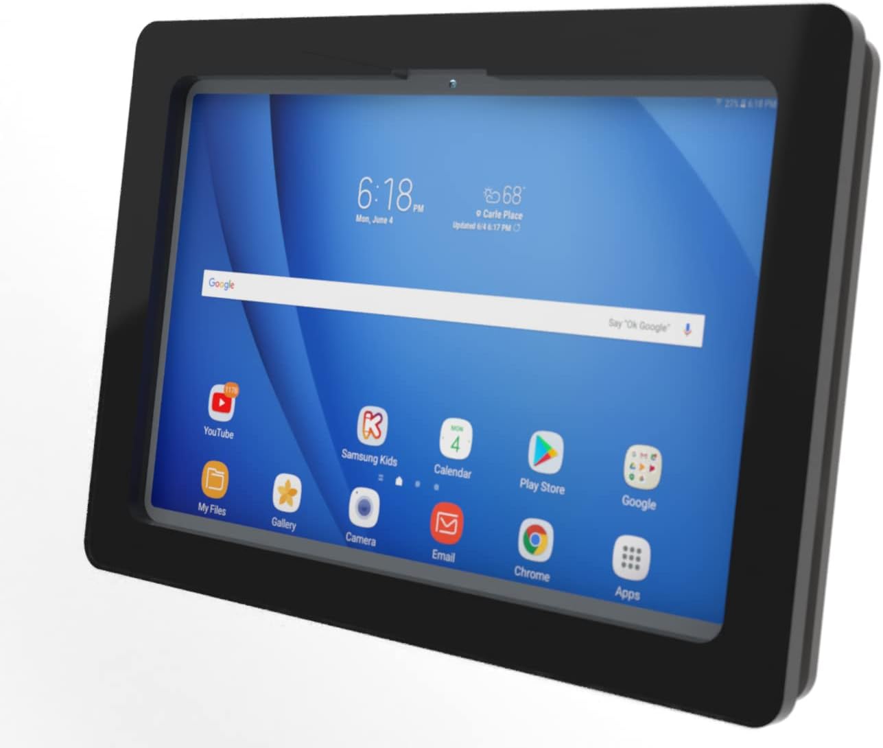 TABcare Security AntiTheft Acrylic VESA Enclosure for