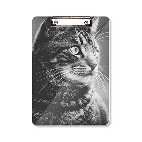 Bloc-notes A4 chat noir et blanc cadeau original pour passionnés de chats