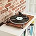 U-Turn Audio - Orbit Special Turntable (Gen 2) with Built-in Preamp, Walnut