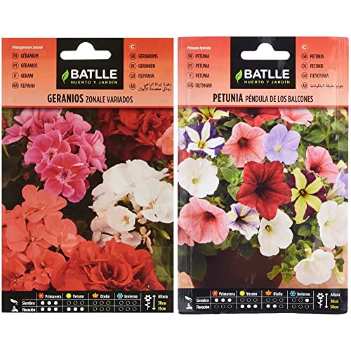Geranios ZONALE Variados & Petunia PENDULA de los Balcones