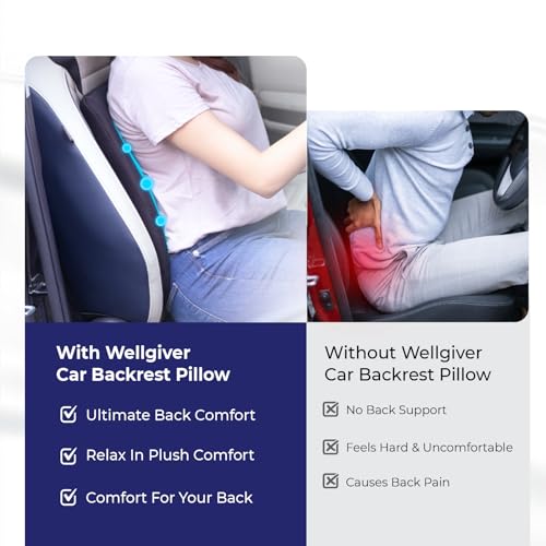 Image of WELLGIVER Memory Foam Lumbar Support Cushion for Car Seat & Office Chair - Orthopedic Lower Back Support Pillow for Back Pain Relief, Ergonomic Posture Corrector with Adjustable Strap & Breathable