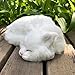 Lifelike White Sleeping Cat Figurine - Realistic Curled Up Faux Fur Kitten Statue, Handcrafted Plush Kitty Home Office Decor, Collectible Gift for Cat Lovers, Stuffed Animal Doughnut Pose Pet Replica