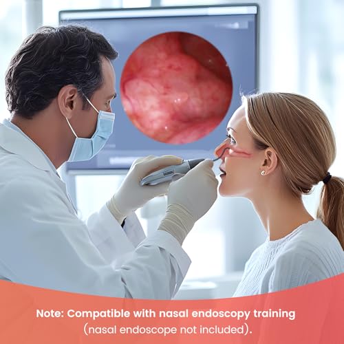 Image of Ultrassist Human Nasal Cavity Anatomy Model - Anatomical Medical Model for Nasal Examination Practise, Human Nasal Model for Medical Teaching, Scientific Research and Display