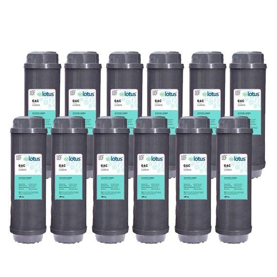 10" Carbone attivo GAC cartuccia filtro acqua per osmosi inversa, 25,4 cm, (12)