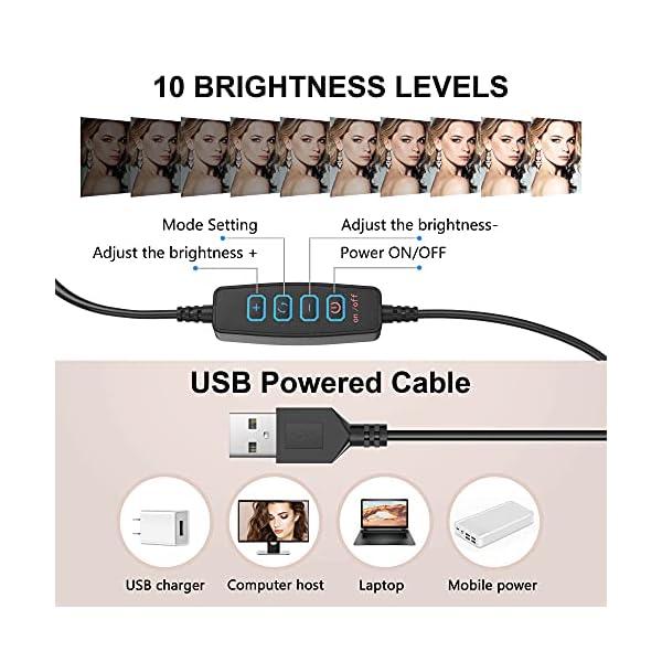Nallee Ringleuchte, 10 Zoll LED Ringleuchte mit Stativ und Handyhalterung, Selfie LED Ringlicht mit 3 Lichtmodi & 10… – Bild 4