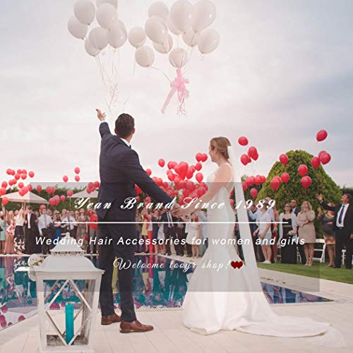 Bridalvenus Wedding Veil And Headpieces Bridal Cathedral Veil Chapel Veil With Comb (118 Inches, One Tiers Veil) (Light Ivory) #TOP3