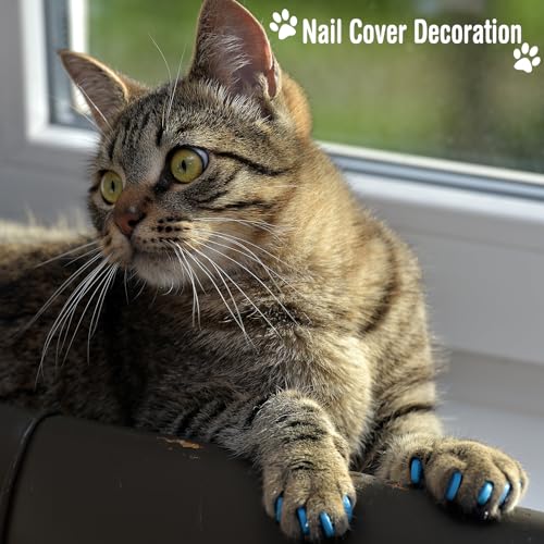 Image of 10 Pcs Cat Bathing Bag Set Pet Mesh Shower Bag Anti Bite and Scratch Pet Grooming for Washing Brush, Cat Muzzle, Nail Clipper, Nail File, Tick Tool (Blue and Gray)