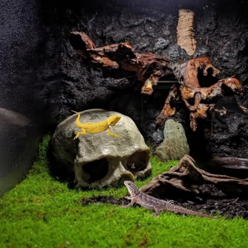 Image of Aquarium Terrarium Skull Decor, Reptile Hide House Shelter Cave for Geckos Spider Lizard Snake, Fish Tank Hide Cave House Hideouts Stones for Small Fish Shrimp Betta Crab Guppy Cichlids (Black)