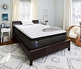 Sealy 52253351 Response Performance 14-Inch Plush Euro Pillow Top Mattress, Queen, White