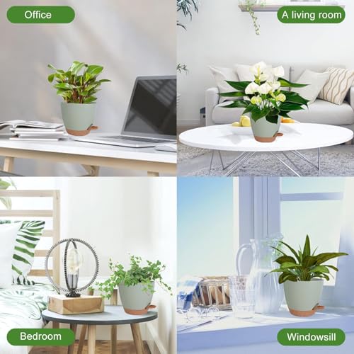 Image of INKULTURE Flower Pot for Indoor Plants - Self Watering Plant Pot Set of 5, Multi Size Plastic Planter with Drainage Hole & Watering Lip (7 /6.5 /6 /5.5 /5 Inch) Green | Pots for Home, Office & Succulents