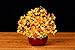 Parma77 Citrine Crystal Tree, Yellow Healing Crystals Gemstone Bonsai Tree Money Tree, Yellow Room Decor Cubicle Office Desk Decor for Women, Feng Shui Wealth and Luck Spiritual Gifts for Women
