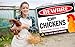Bigtime Signs Beware of Chickens PVC 9