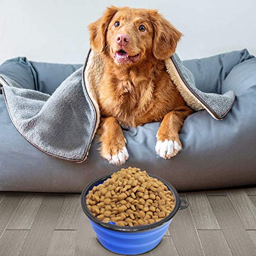 2 in 1 Pliant Gamelle d'alimentation Lente,Gamelles de Voyage pour Chien Et Chat,Bol à Chien avec Mousqueton,Chien Bol Portable à Eau Ou Alimentaire, Gamelle Chien Voyage,La RandonnéE,Camping (Bleu) 2 in 1 Pliant Gamelle d'alimentation Lente,Gamelles de Voyage pour Chien Et Chat,Bol à Chien avec Mousqueton,Chien Bol Portable à Eau Ou Alimentaire, Gamelle Chien Voyage,La RandonnéE,Camping (Bleu)