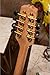 Roosebeck Standard Irish Bouzouki with Gig Bag