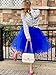 Royal Blue Puffy Dress for Women Tulle Tutu Skirt Knee Length Formal Ball Gown Dresses Royal Blue