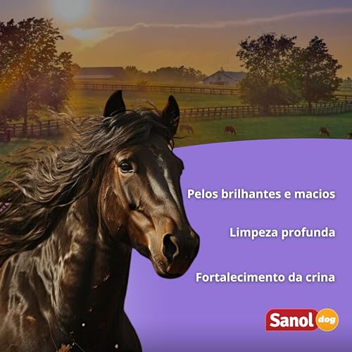 Sanol Dog Shampoo De Pêlos Para Cavalos 5 Litros Roxo