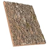 VICASKY Natural Cork Bark Reptile Climbing Platform Terrarium Decor for Lizards Bearded Dragons and Geckos Secure Habitat Background Moisture Reptile Tank Accessory