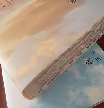 愛人　特別愛蔵版　上下巻セット　田中ユタカ Amazon.co.jp: 特別愛蔵版 愛人 AI－REN 上 下巻セット