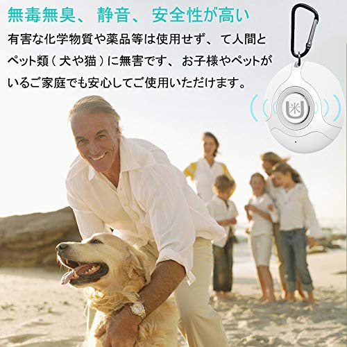 えっ クルマにネズミが棲んでるの エンジンルームのネズミ対策