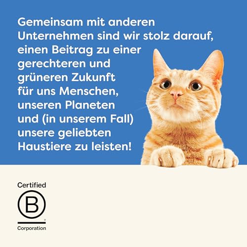 Applaws 100% natürliches Premium-Nassfutter für ausgewachsene Katzen, Fisch-Multipack-Auswahl in Brühe - Packung mit 12 x 70g Dosen