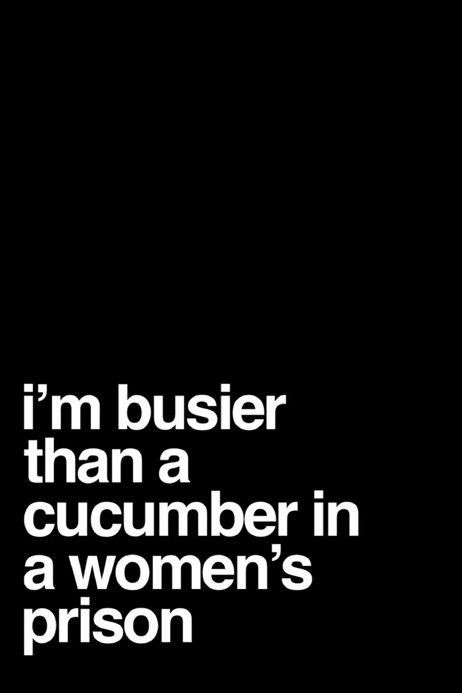 I'm Busier Than A Cucumber In A Women's Prison: Blank Lined Journal 110-Pages Office Gag Gift Idea