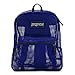 JanSport Mesh Pack Backpack