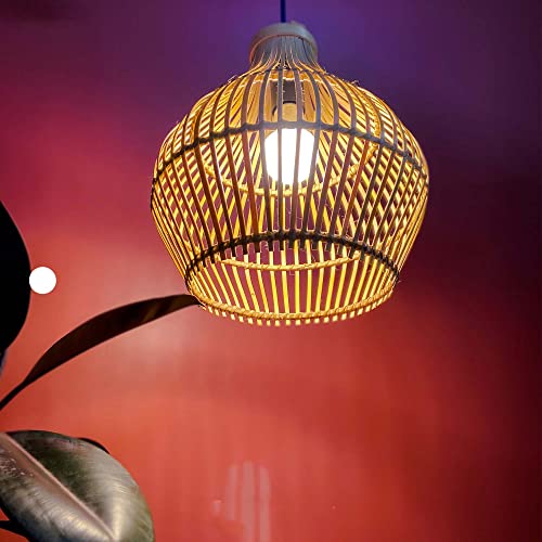 Image of Craftscape Bamboo Hanging Pendant Lamp | Boho Cane Lampshade | Bamboo Lights | Collection (SolaMic)